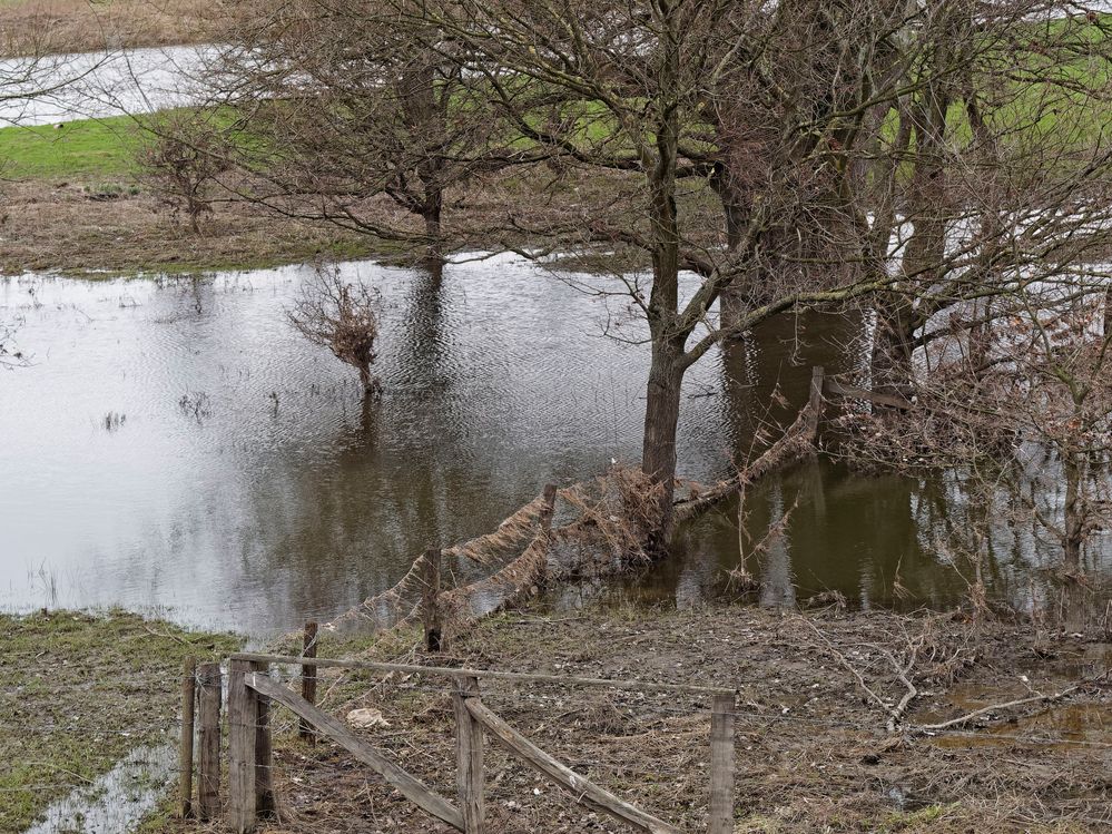 Auenlandschaft der Lippe im NSG Am Tibaum zwischen Werne und Stockum/Hamm