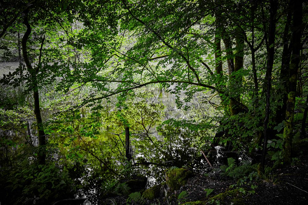 Auenlandschaft der Moosalbe Richtung Karlstalschlucht