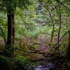 Auenlandschaft der Moosalbe Richtung Karlstalschlucht