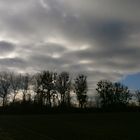 Auenlandschaft; Flehbachaue in Köln-Brück