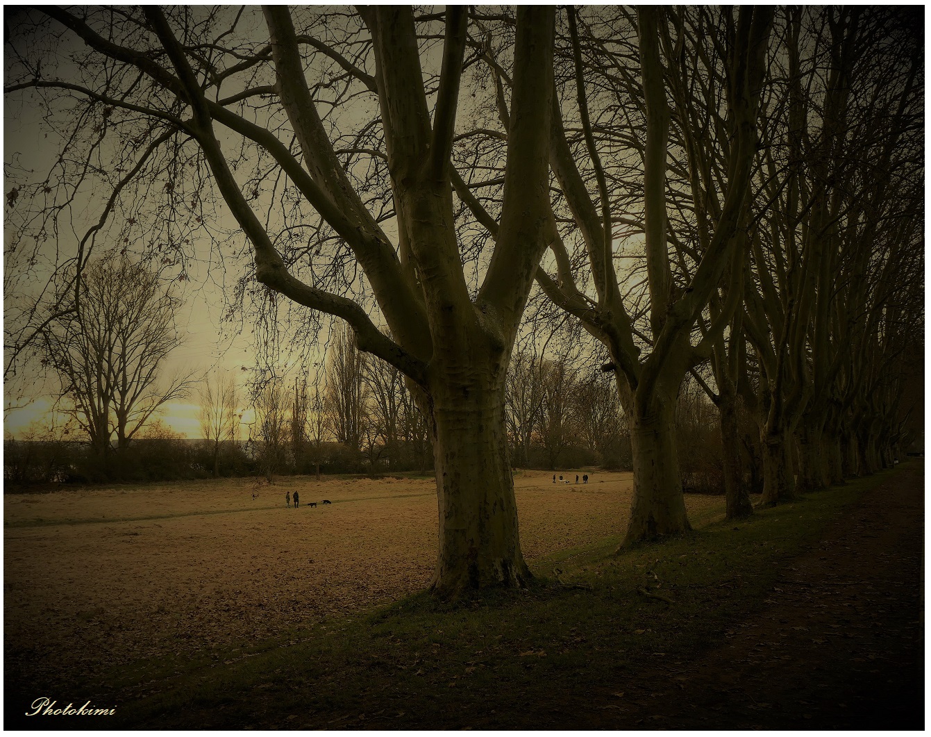 Auenlandschaft hinter dem Deich