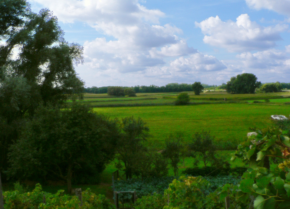 Auenlandschaft hinter Kuhardt