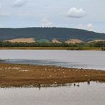 Auenlandschaft Hohenrode