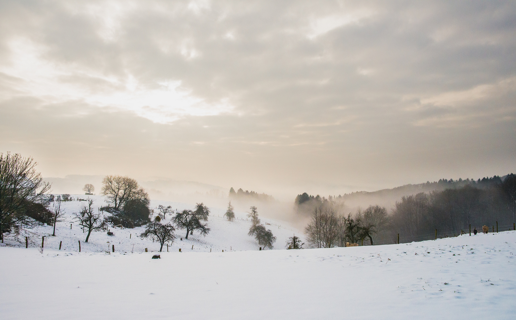 Auenlandschaft im Bergischen Land