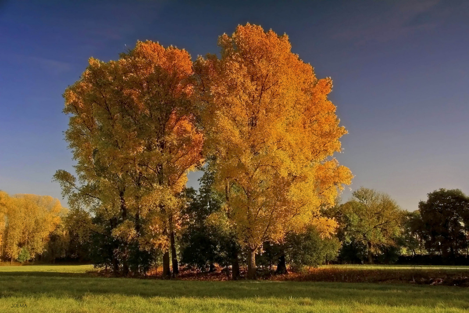 Auenlandschaft im Herbst