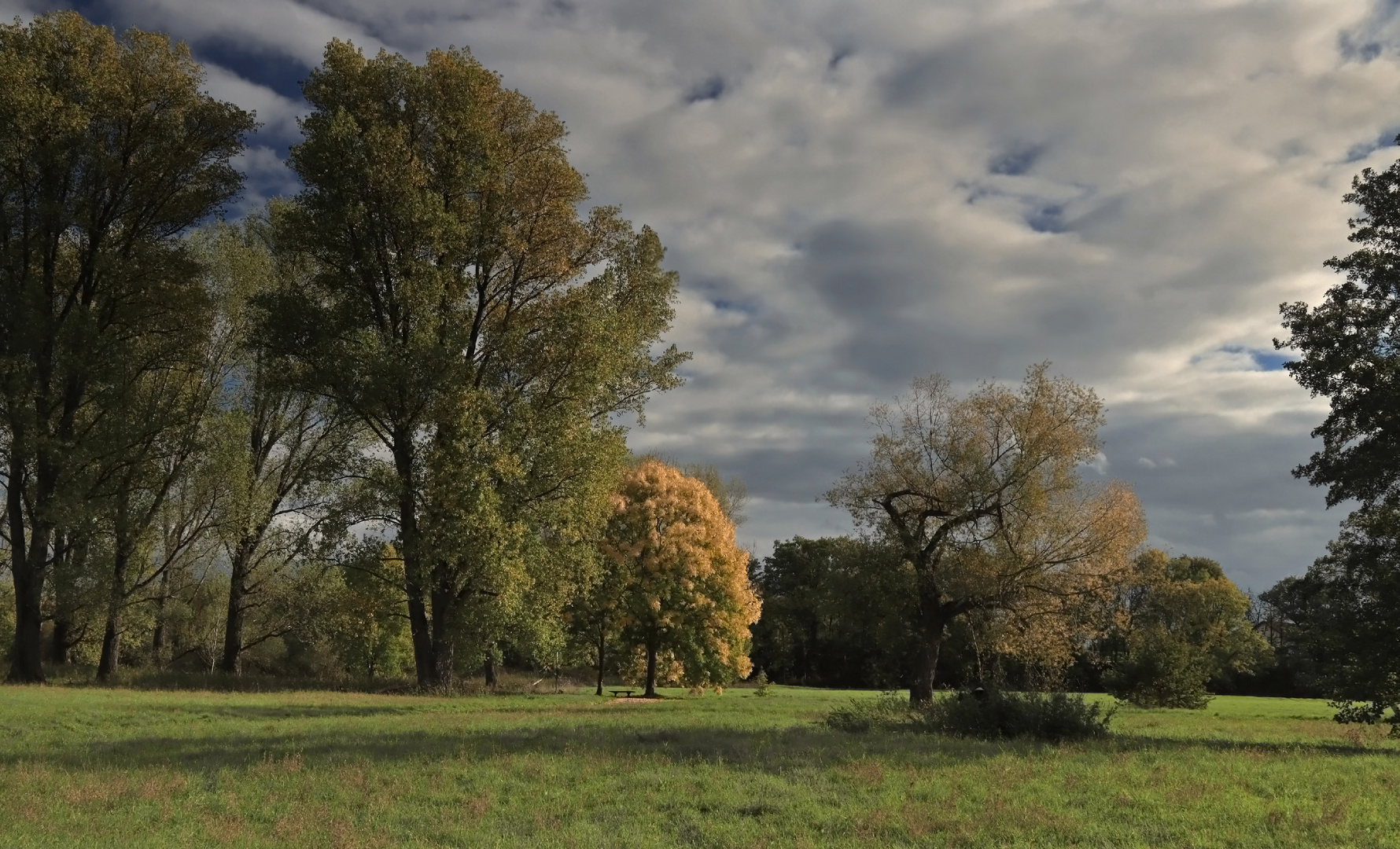 Auenlandschaft im Herbst (10)