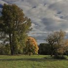 Auenlandschaft im Herbst (10)