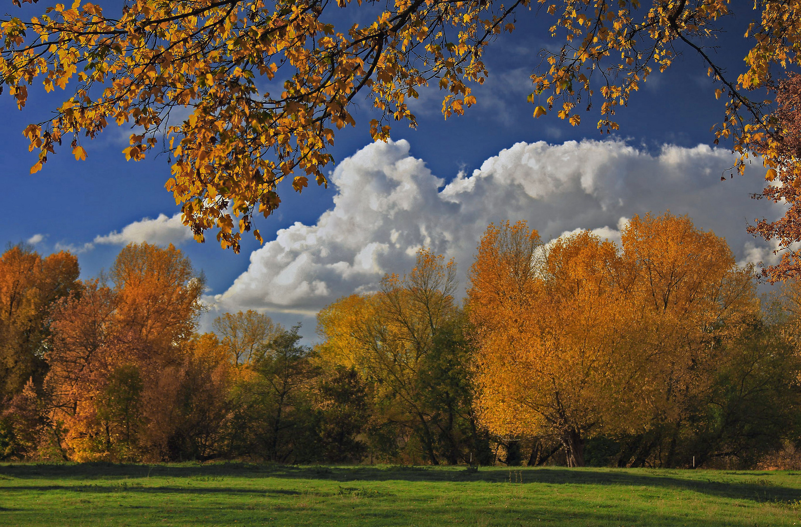 Auenlandschaft im Herbst (2) 