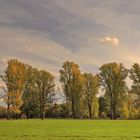 Auenlandschaft im Herbst (2)