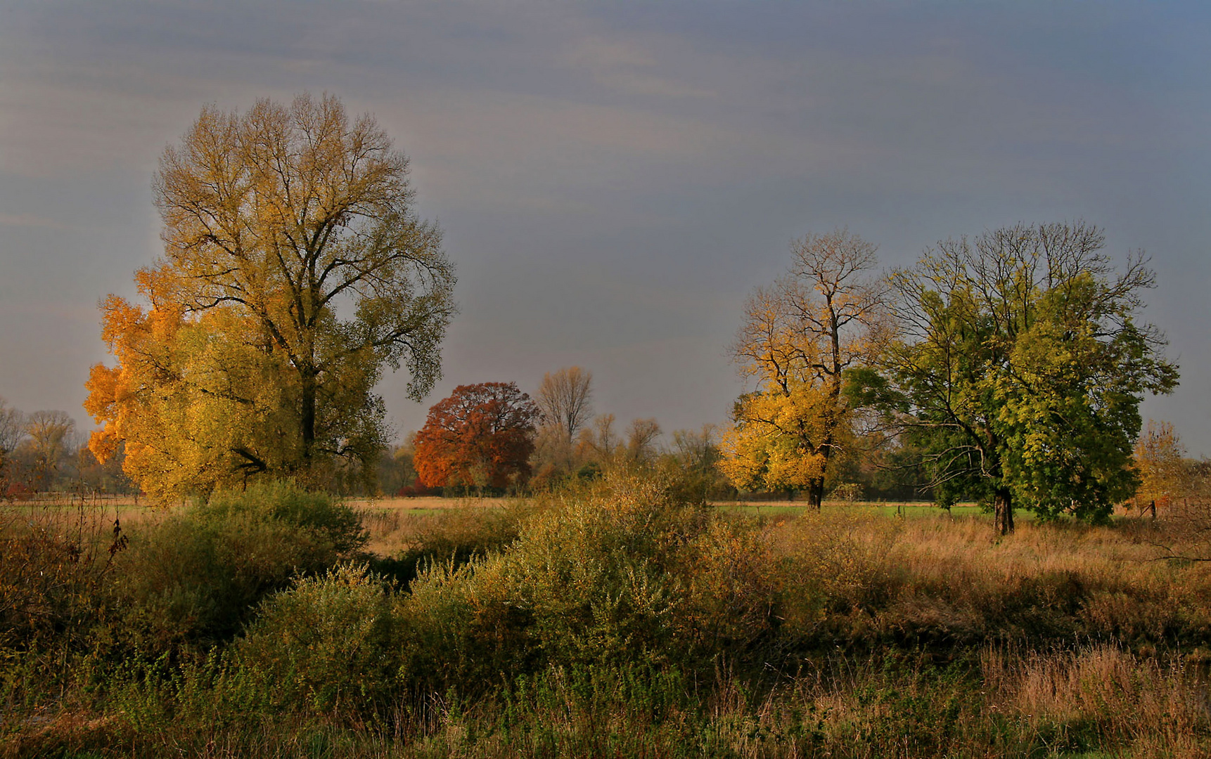 Auenlandschaft im Herbst (2)