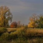 Auenlandschaft im Herbst (2)