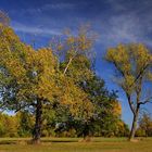 Auenlandschaft im Herbst (3)