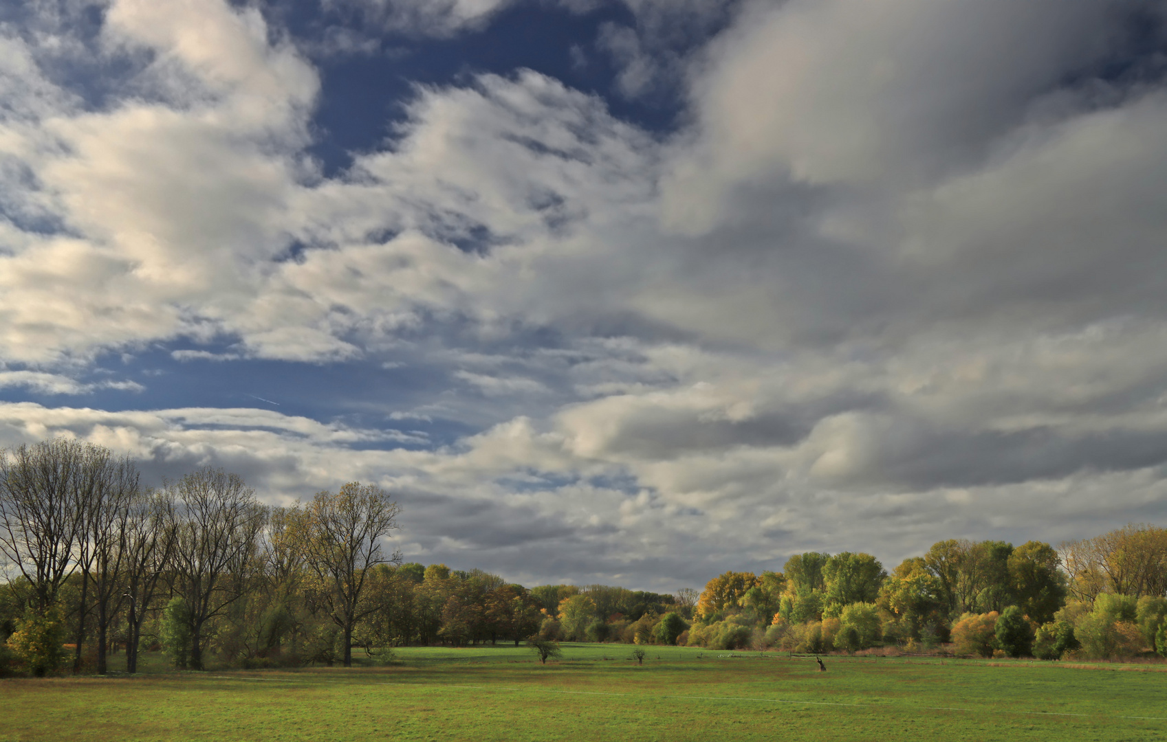 Auenlandschaft im Herbst (4)