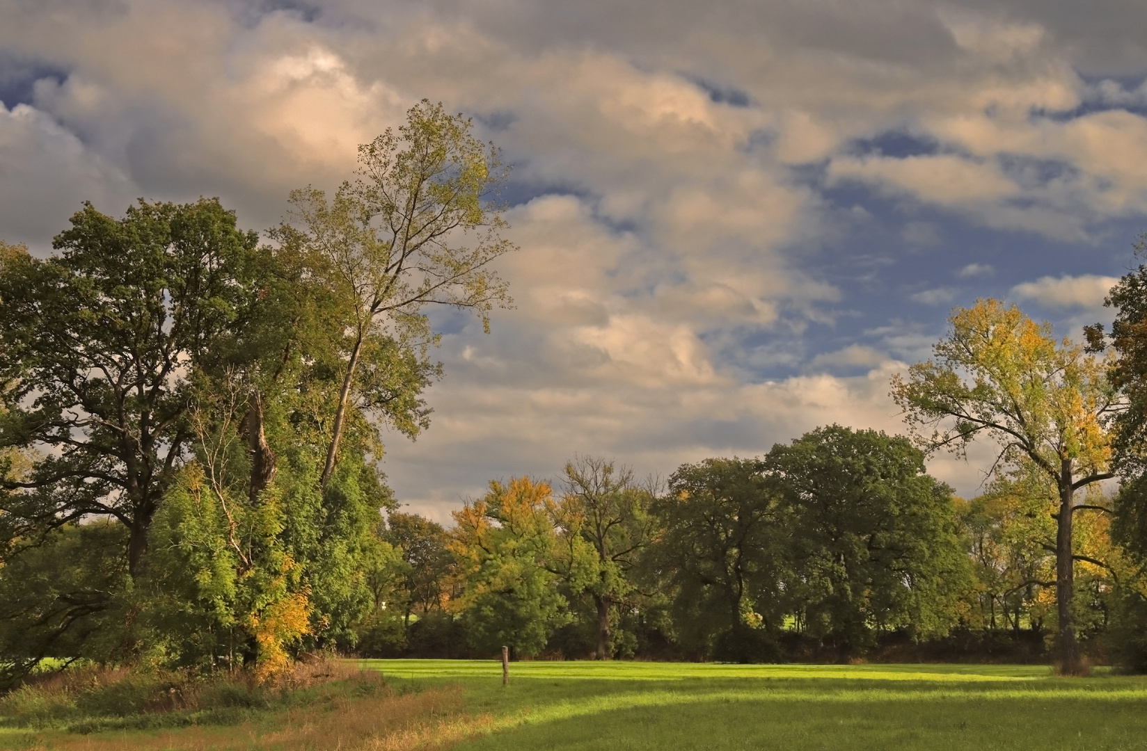 Auenlandschaft im Herbst (5)