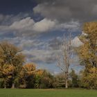 Auenlandschaft im Herbst (6)