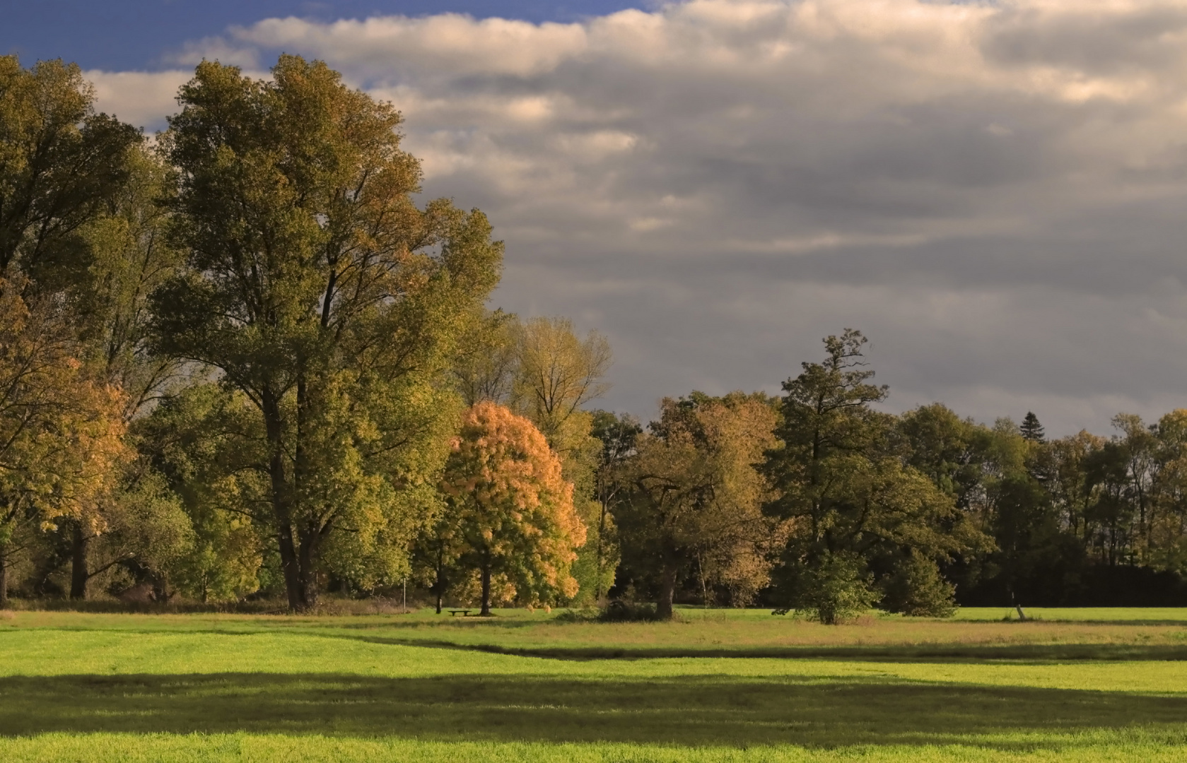 Auenlandschaft im Herbst (7)