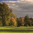 Auenlandschaft im Herbst (7)