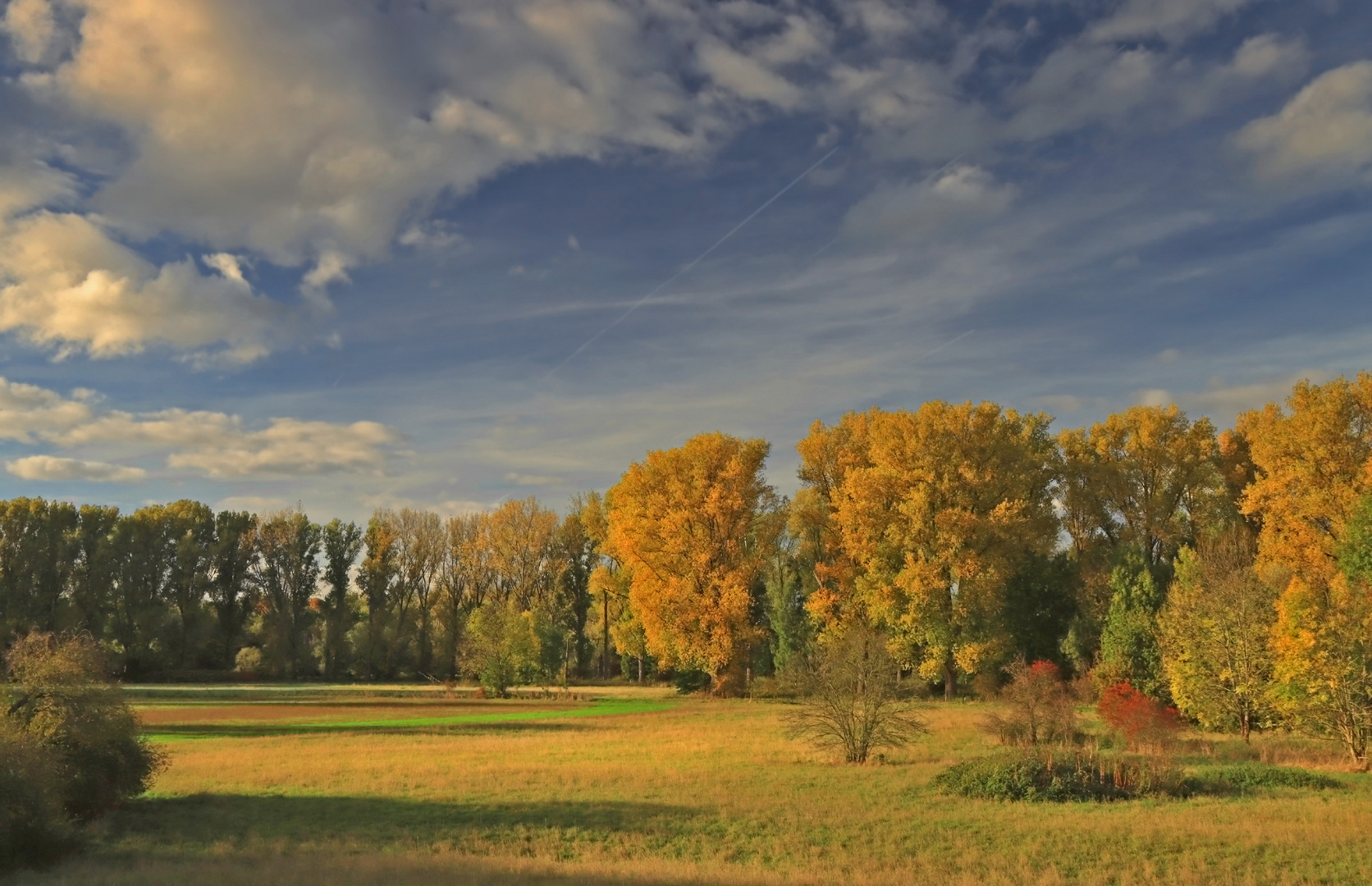 Auenlandschaft im Herbst (8)