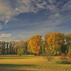 Auenlandschaft im Herbst (8)