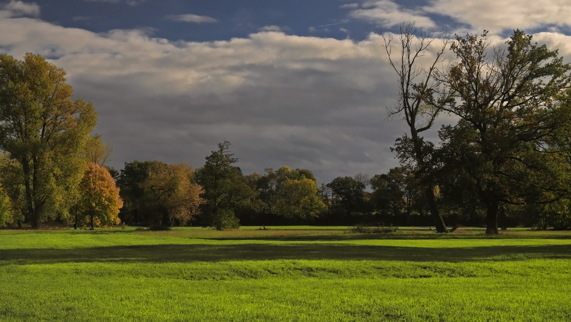 Auenlandschaft im Herbst (9)