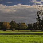 Auenlandschaft im Herbst (9)