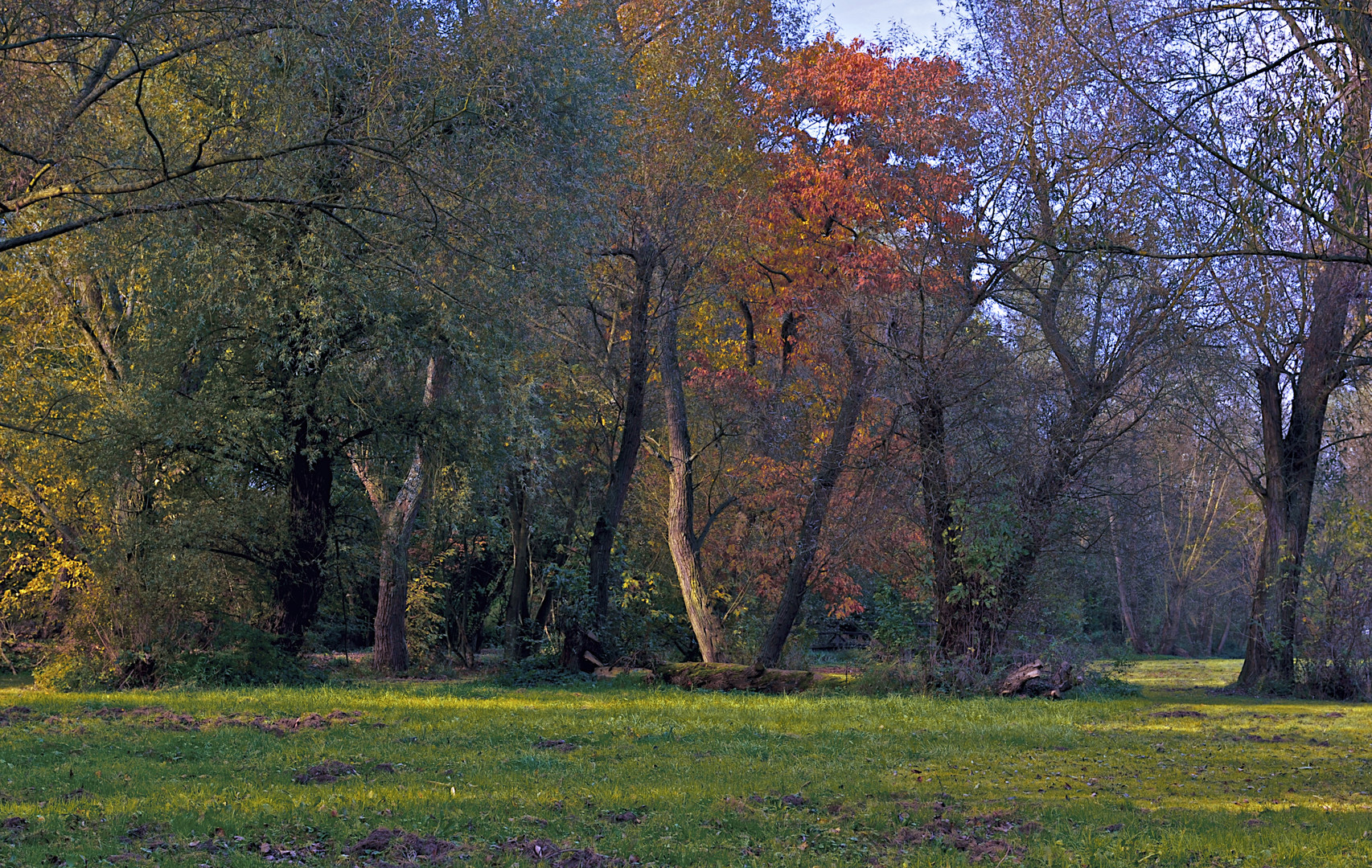 Auenlandschaft im Herbst