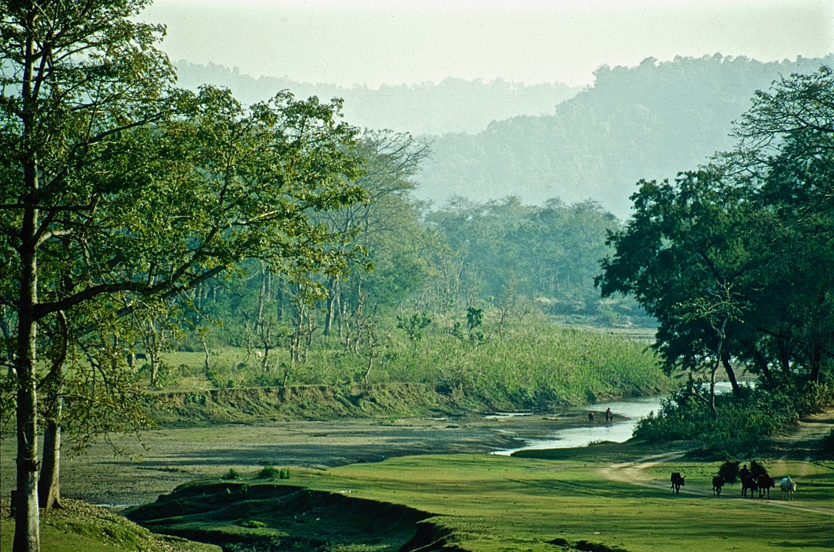 Auenlandschaft im Terai