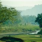 Auenlandschaft im Terai