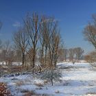 Auenlandschaft im Winter...