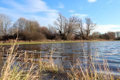 Auenlandschaft Mannheim Sandhofen