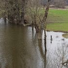 Auenlandschaft (NSG Am Tibaum) mit abgestorbenen Bäumen an der Lippe bei Werne-Stockum