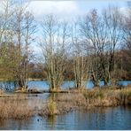 Auenlandschaft Pferdsbruch