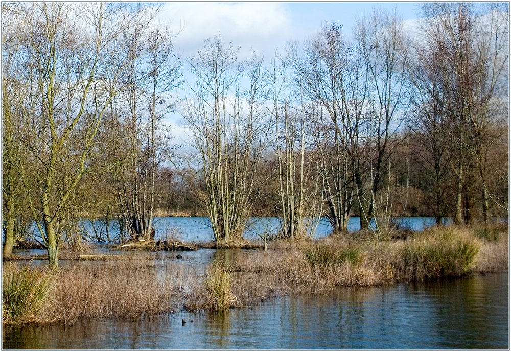 Auenlandschaft Pferdsbruch