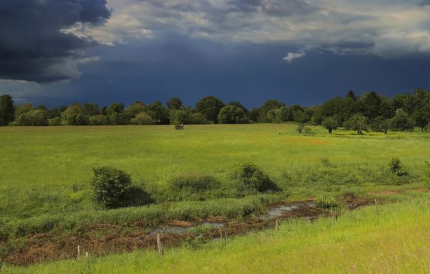 Auenlandschaft...vor dem Gewitter