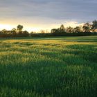 Auenlandstimmung in Offenberg / Neuhausen