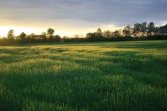 Auenlandstimmung in Offenberg / Neuhausen