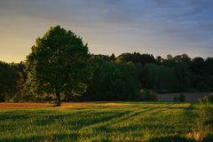 Auenlandstimmung in Offenberg / Neuhausen I