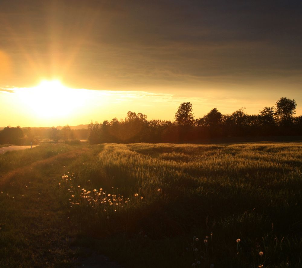 Auenlandstimmung in Offenberg / Neuhausen II