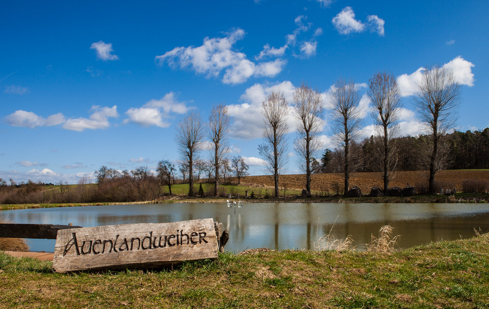 Auenlandweiher