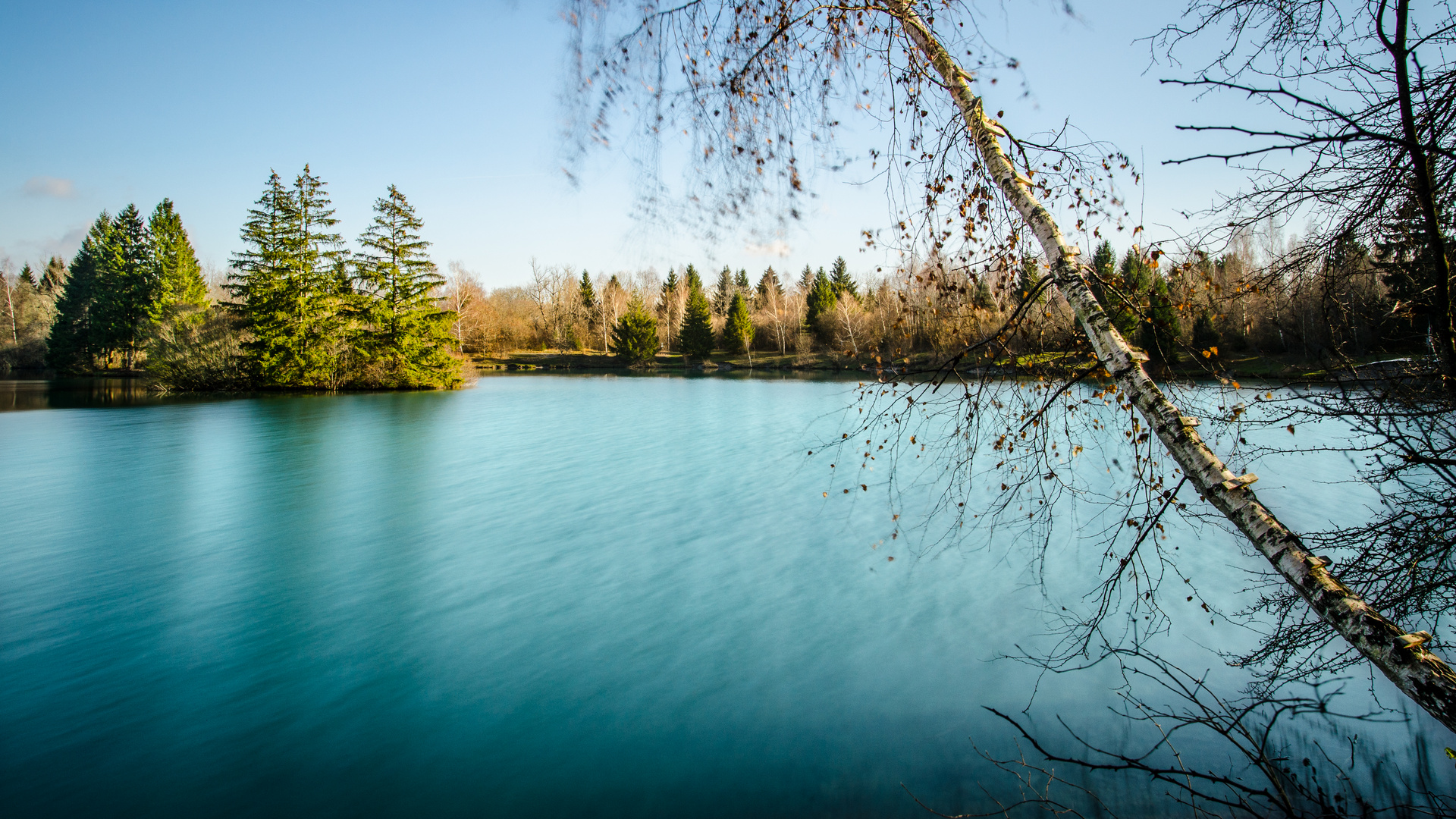 Auensee