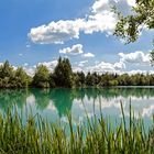 Auensee