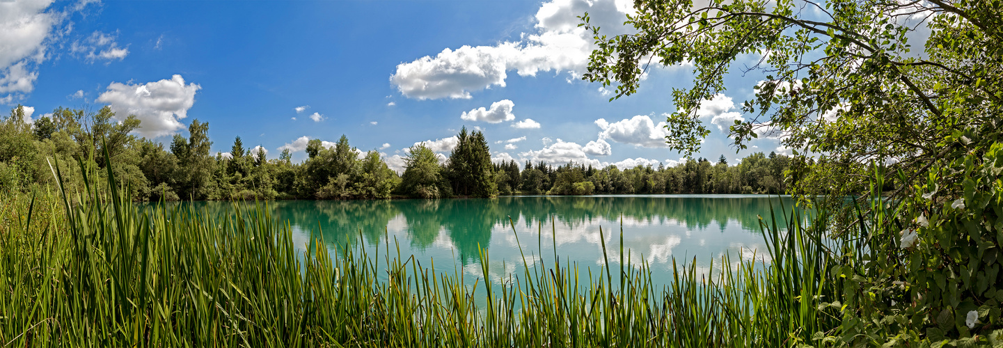 Auensee