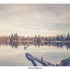 Auensee bei Königsbrunn (3)