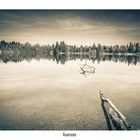 Auensee bei Königsbrunn