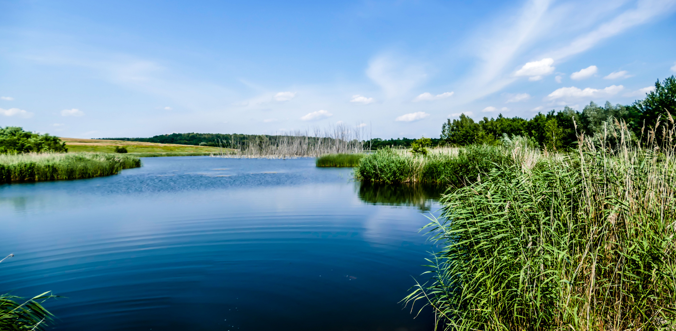 Auensee