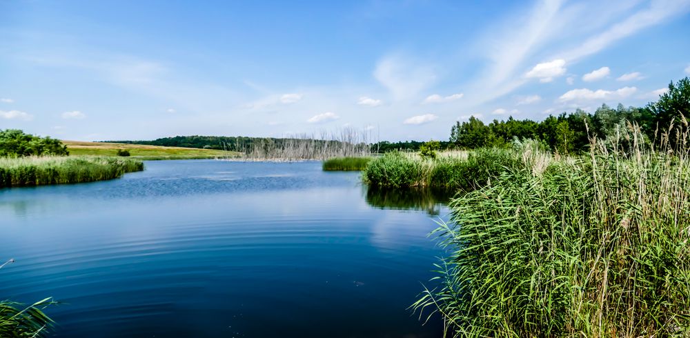 Auensee