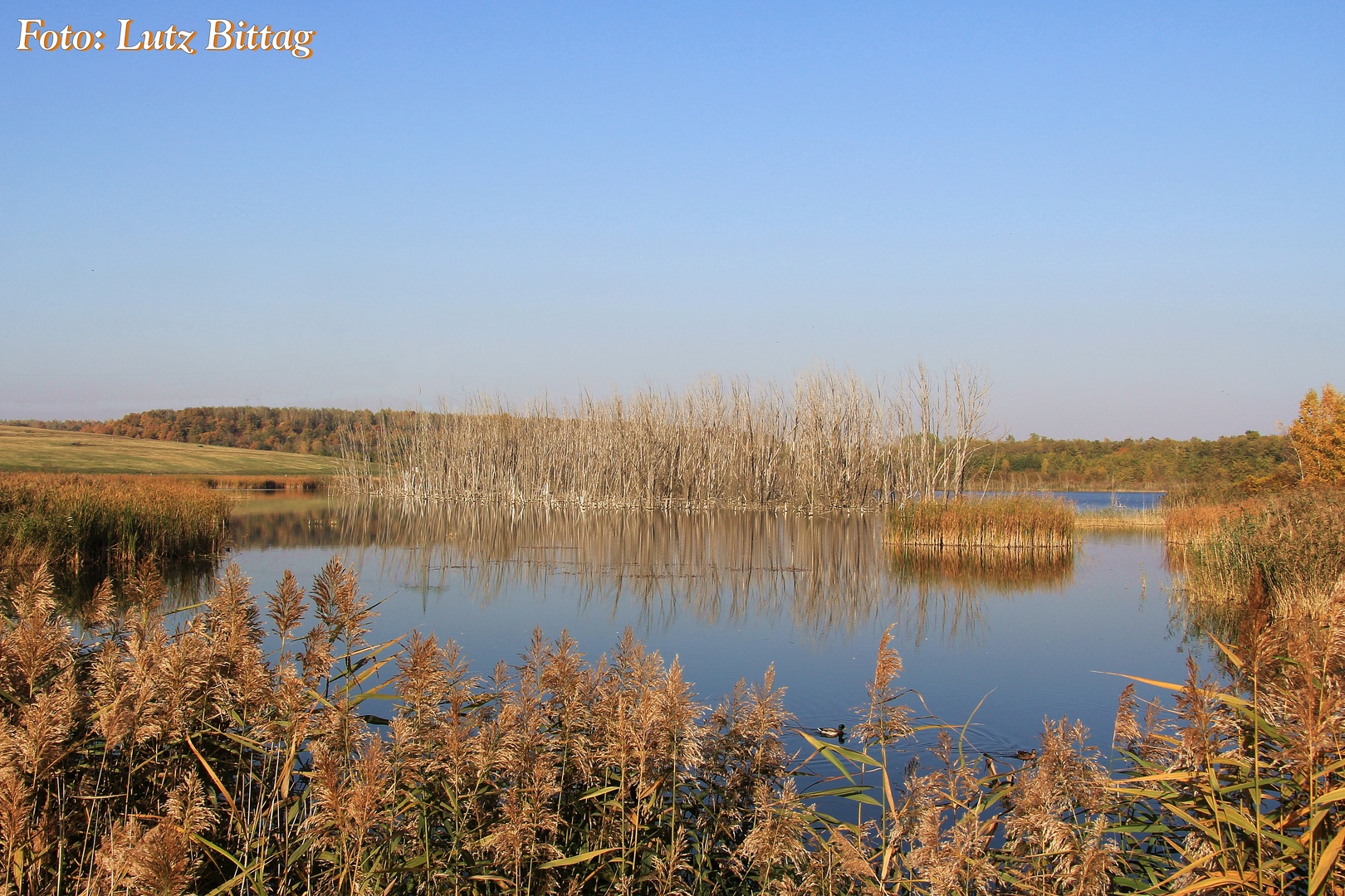 Auensee Holzweißig