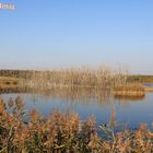 Auensee Holzweißig