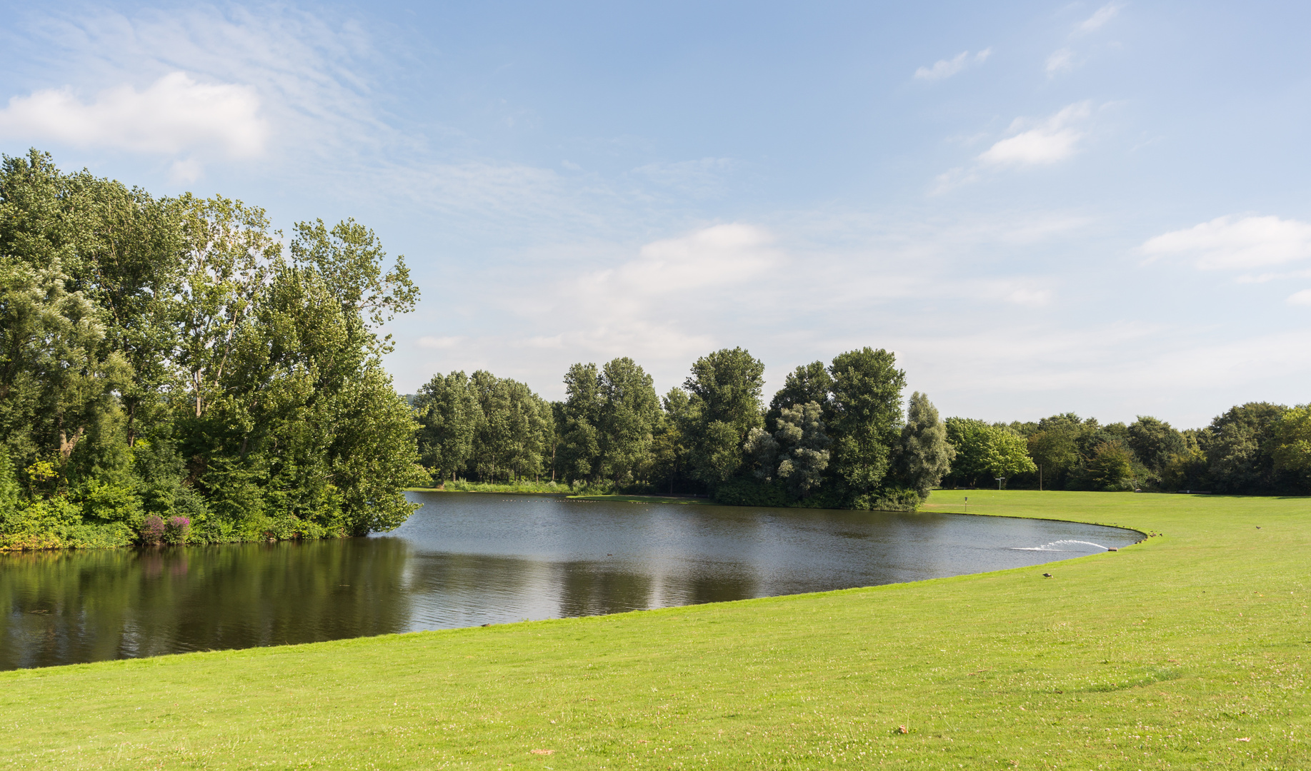 Auensee, Rheinaue, Bonn