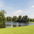 Auensee, Rheinaue, Bonn